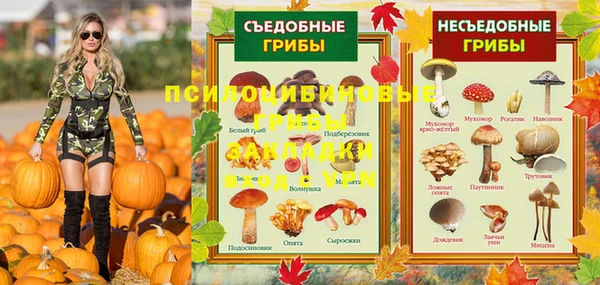 амф Алексин