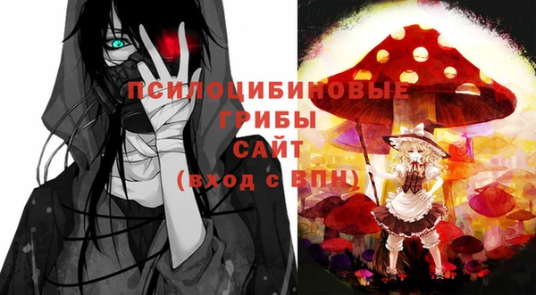сатива Нея
