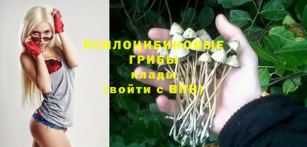 гидропоника Абдулино