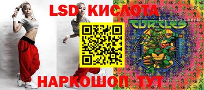 PSILOCYBIN Новодвинск