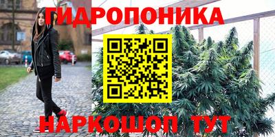 прущий лед Новозыбков