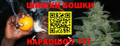 прущий лед Новозыбков