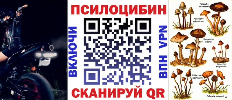 купить наркоту  shop формула  Псилоцибиновые грибы Psilocybe  Чапаевск 